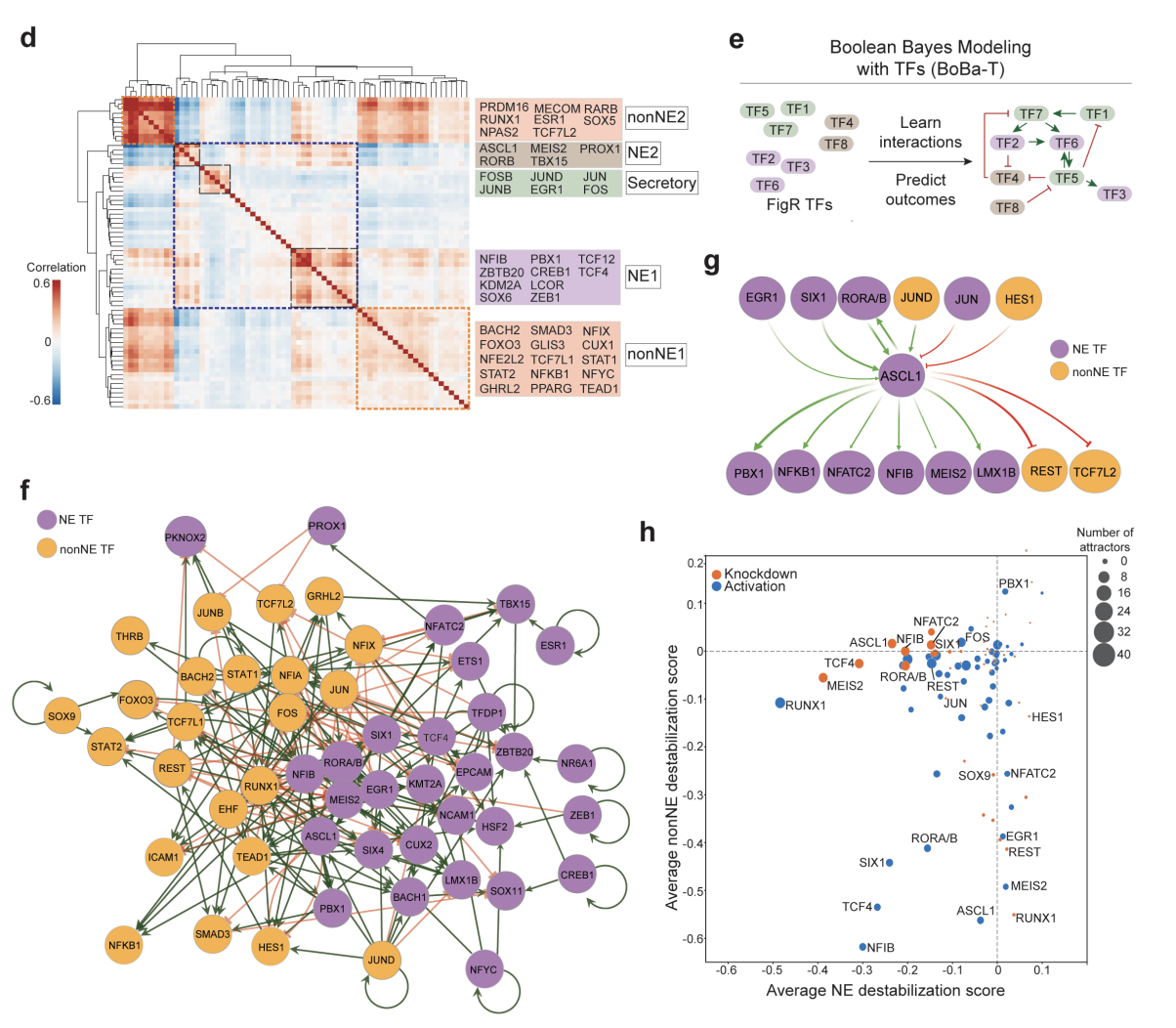 Epigenetic heterogeneity and plasticity of Small Cell Lung Cancer